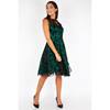 Jawbreaker - Penny Taffeta & Lace Flare Kleid - Spitzenblumen - Grün/Schwarz Product image